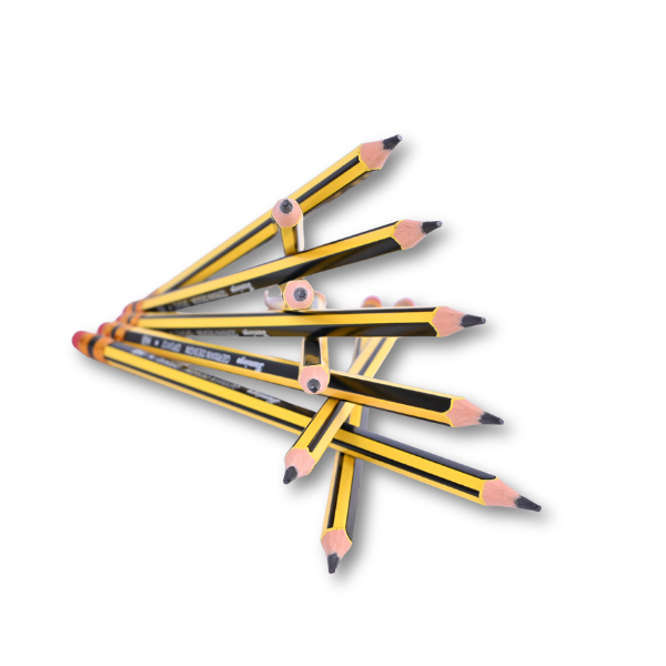 Flamingo HB Pencils Set-Pack of 30