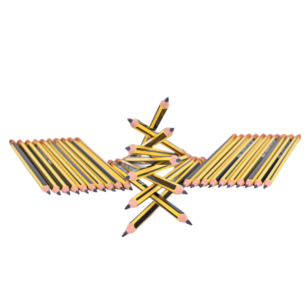 Flamingo HB Pencils Set-Pack of 30
